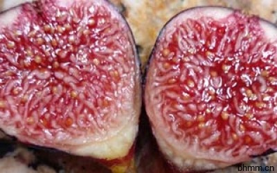 赢在高颜值 轻松迷倒TA