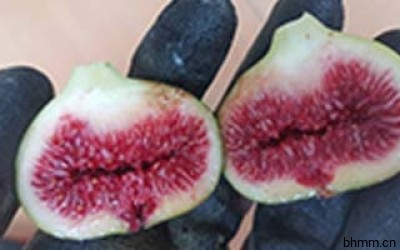 换季补水 解救干燥危肌