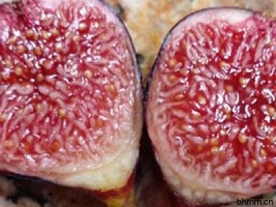 赢在高颜值 轻松迷倒TA