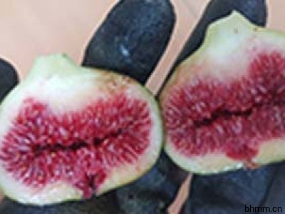 换季补水 解救干燥危肌