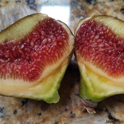 Black Zadar Fig  黑扎达尔无花果