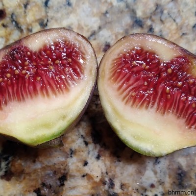 Black Zadar Fig  黑扎达尔无花果