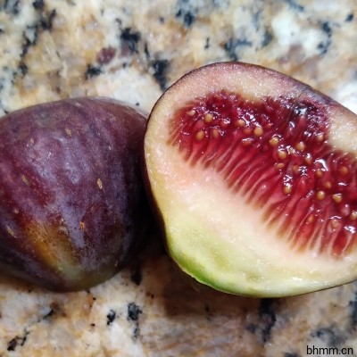 Black Zadar Fig  黑扎达尔无花果