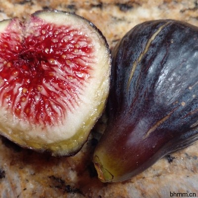 黑马德拉无花果（Black Madeira Fig